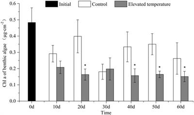 Effects of Elevated Temperature on Resources Competition of Nutrient and Light Between Benthic and Planktonic Algae